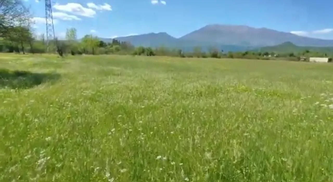 Sale, land lot, 1500m², Danilovgrad, Crna Gora