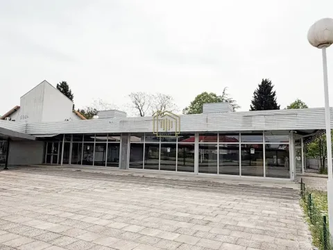 Poslovni prostor in Masline