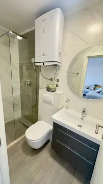 Modern equipped bathroom with a walk-in shower, washbasin, and toilet. - image 9