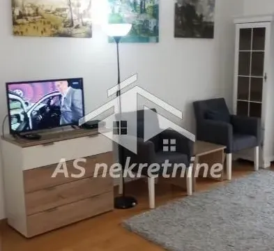 Izdavanje, jednosoban stan, 45m², Tašmajdan, Palilula Sve Podlokacije - image 7