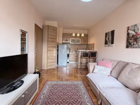 Izdavanje, garsonjera, 32m², Zagorič, Podgorica - image 4