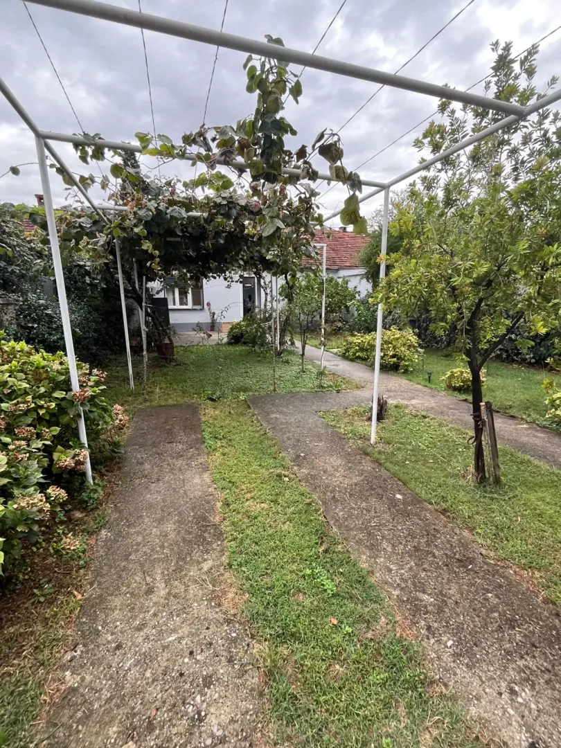Green yard with a walkway and a pergola on the property.