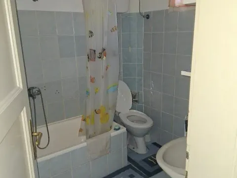 Prodaja, kuća, 300m², Temerin, Novi Sad - image 19