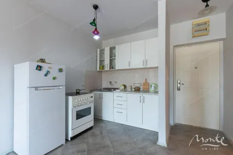 Prodaja, jednosoban stan, 44m², Maine, Budva - image 7