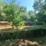 Prodaja, plac, 1658m², Herceg Novi, Crna Gora - image 7