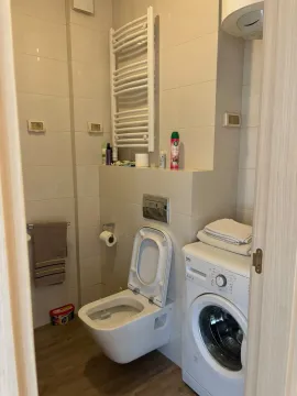 Small bathroom with a toilet and a washing machine. - image 8