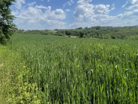 Prodaja, plac, 14683m², Tršić, Loznica - image 2