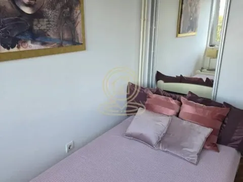 Rent, one bedroom apartment, 26m², Kalenić Pijaca, Vračar Sve Podlokacije - image 13