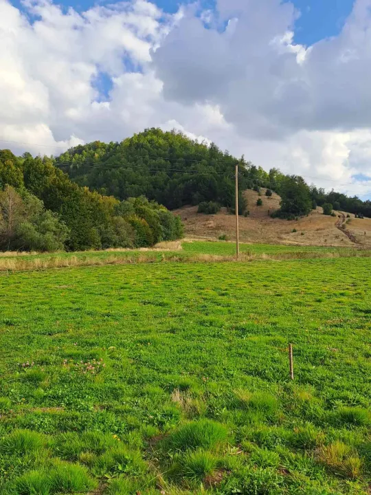 Sale, land lot, 7000m², Veruša, Podgorica