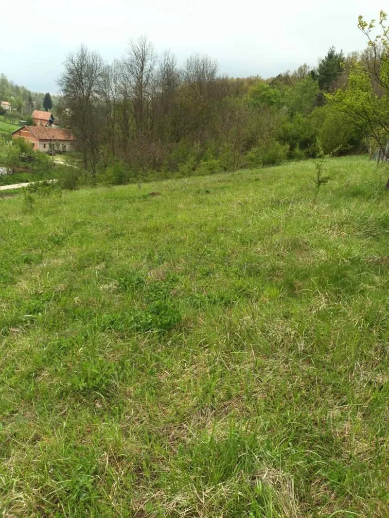 Prodaja, plac, 4700m², Babe, Sopot
