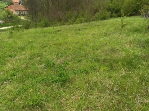 Sale, land lot, 4700m², Babe, Sopot - image 2