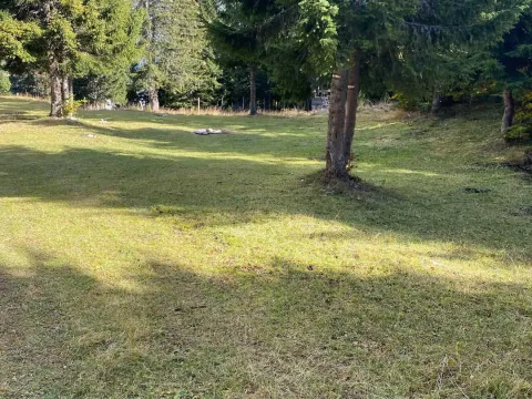 Sale, land lot, 301m², Razvršje, Žabljak - image 4