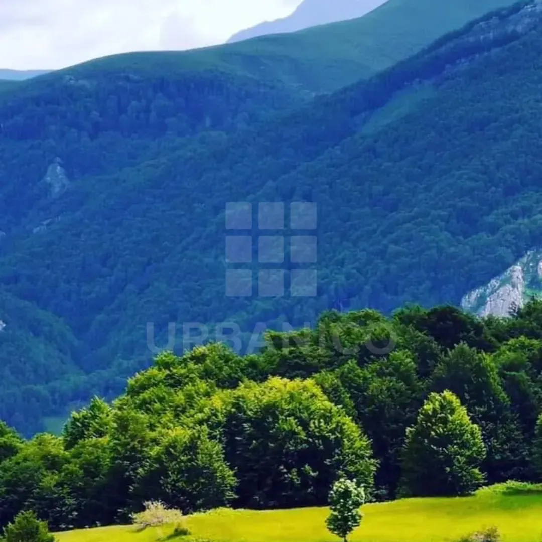 Prodaja, plac, 400000m², Veruša, Podgorica