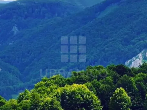 Prodaja, plac, 400000m², Veruša, Podgorica - image 4