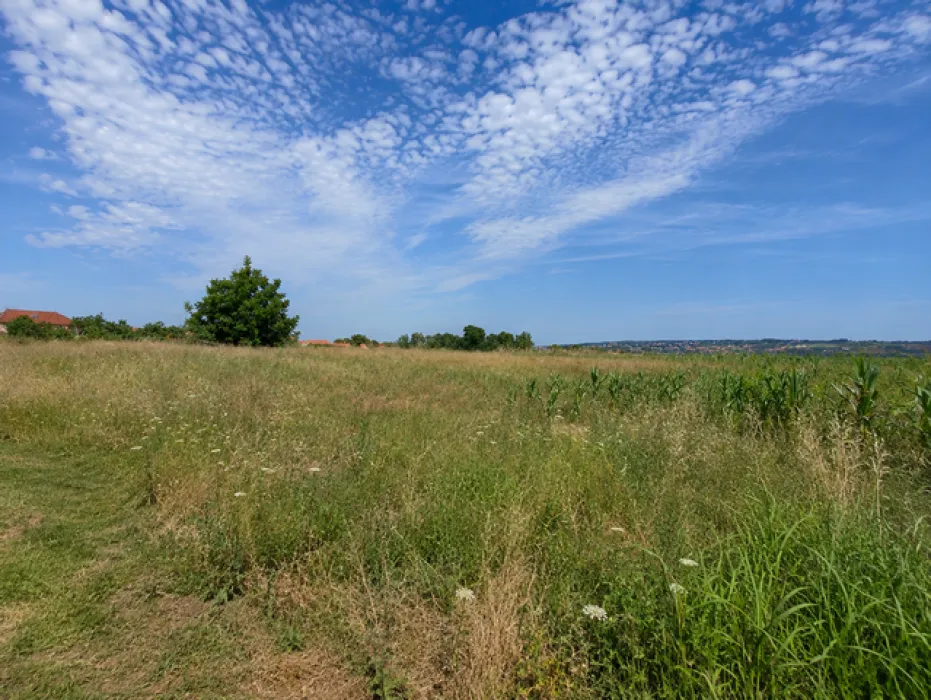 Pogled na prostrano zeleno zemljište sa travom i niskim rastinjem pod vedrim nebom.