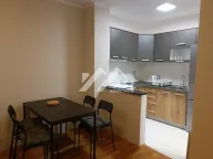 Izdavanje, dvosoban stan, 60m², Bulevar Oslobodjenja, Novi Sad Sve Podlokacije - image 3