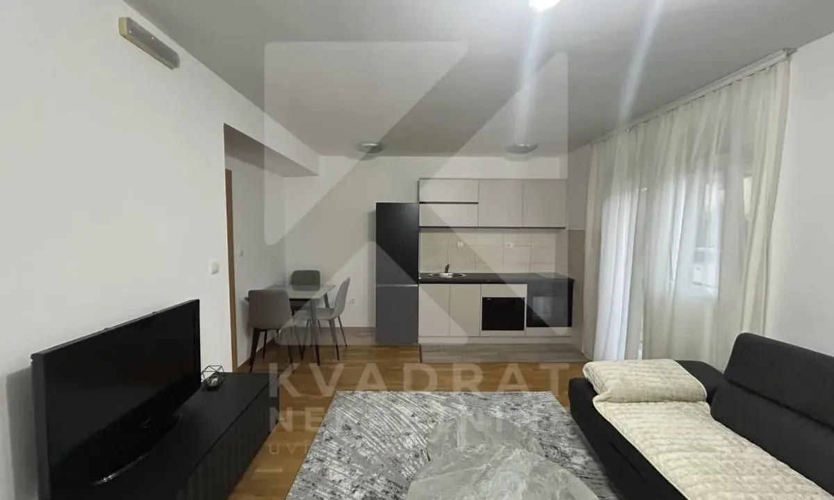 Rent, one bedroom apartment, 44m², Dalmatinska ulica, Podgorica