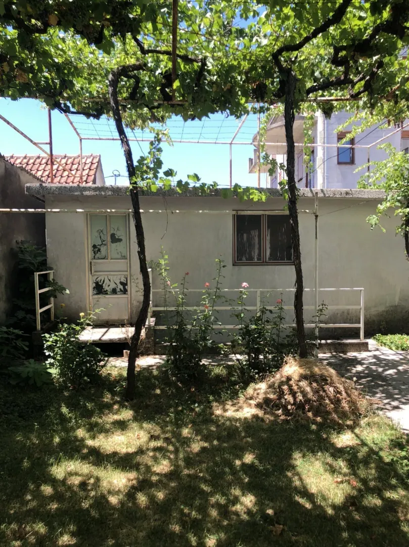 Dvorište ispred prizemnog objekta sa vinovom lozom i travnjakom.