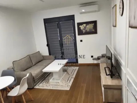 Izdavanje, jednosoban stan, 49m², Stara Varoš, Podgorica - image 2
