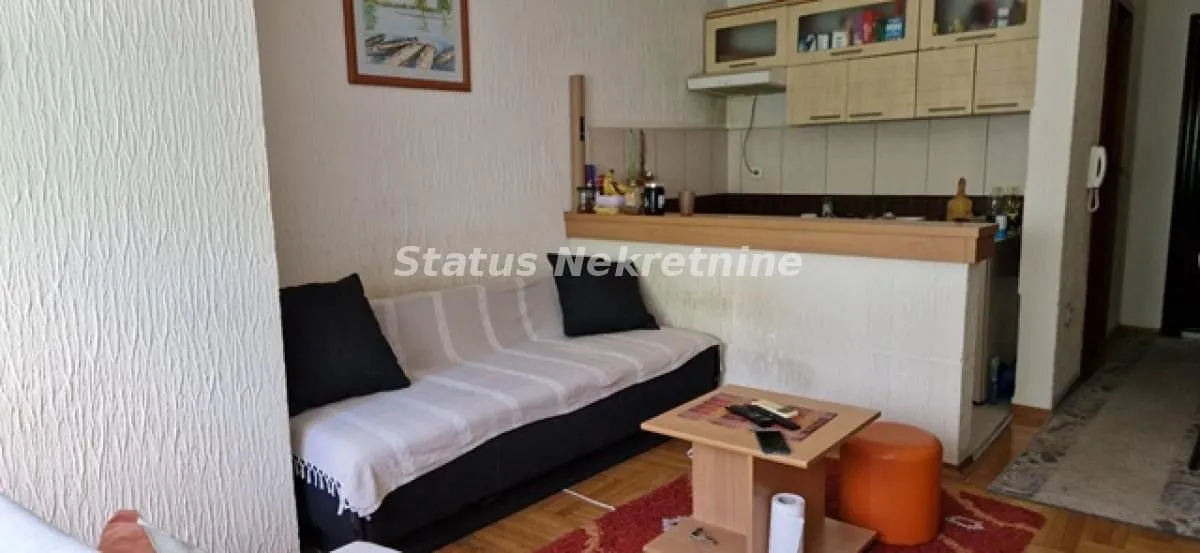 Izdavanje, garsonjera, 25m², Bulevar Oslobodjenja, Novi Sad Sve Podlokacije