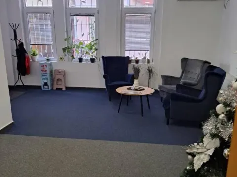 Izdavanje, poslovni prostor, 330m², Socijalno, Novi Sad Sve Podlokacije - image 2