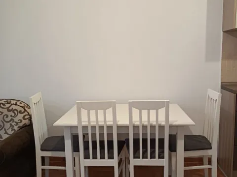 Izdavanje, jednosoban stan, 45m², Stari Aerodrom, Podgorica - image 5