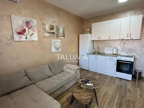 Izdavanje, dvosoban stan, 55m², Preko Morače, Podgorica - image 11