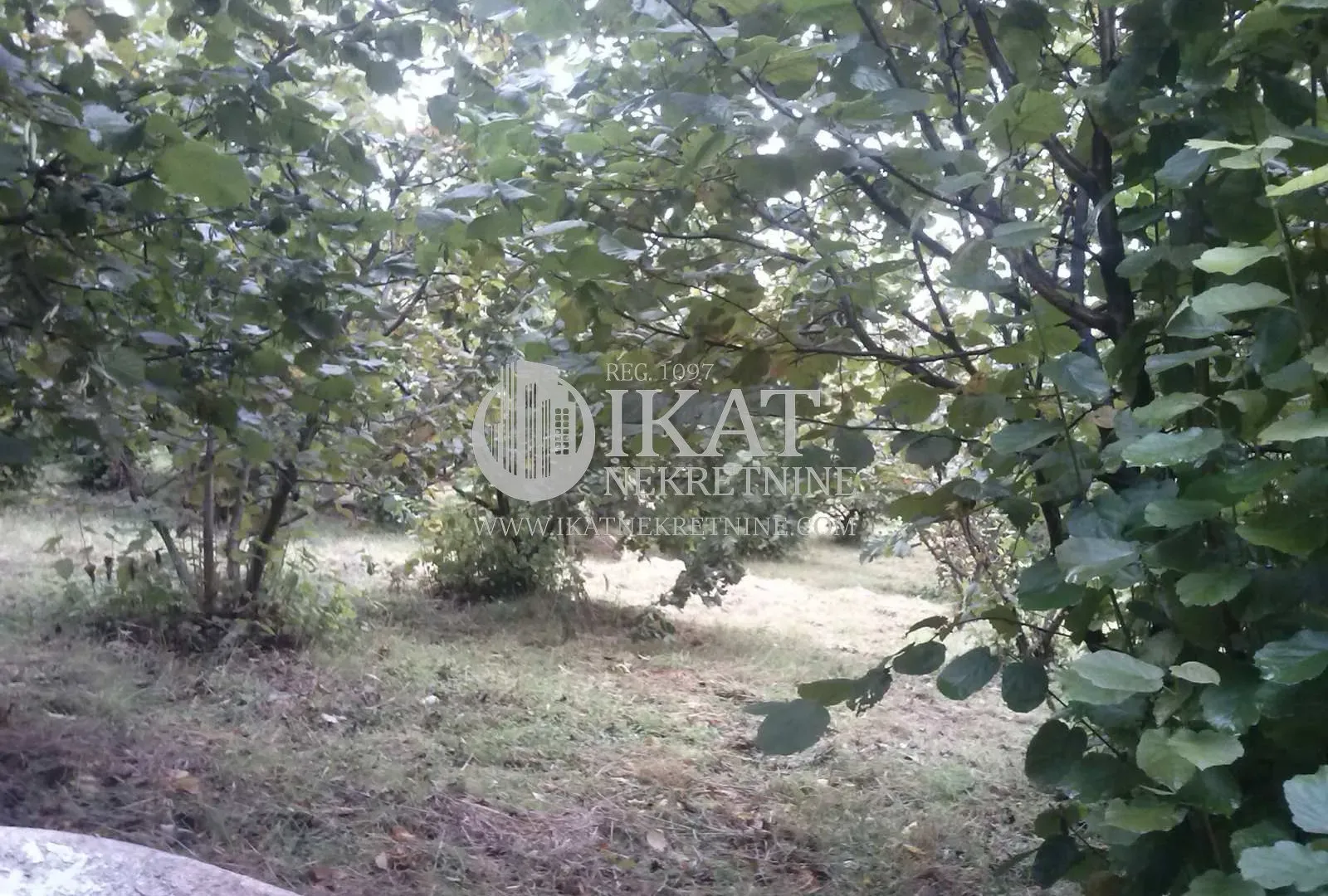 Prodaja, plac, 21500m², Pora, Užice