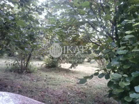 Sale, land lot, 21500m², Pora, Užice - image 2