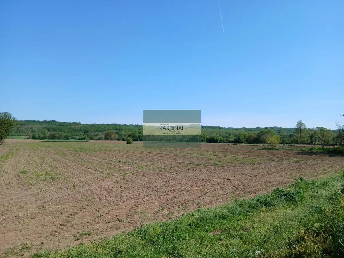 Prodaja, plac, 16009m², Dragocvet, Jagodina