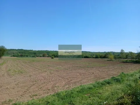 Prodaja, plac, 16009m², Dragocvet, Jagodina - image 4