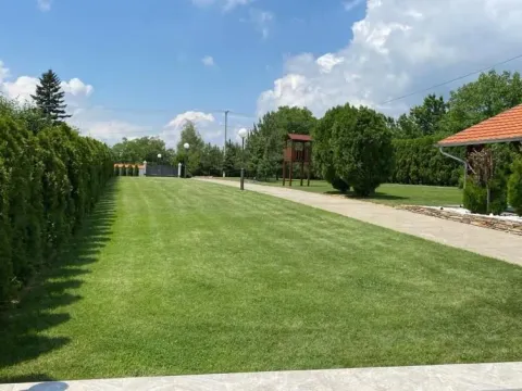 Sale, house, 450m², Krstašice, Irig - image 3