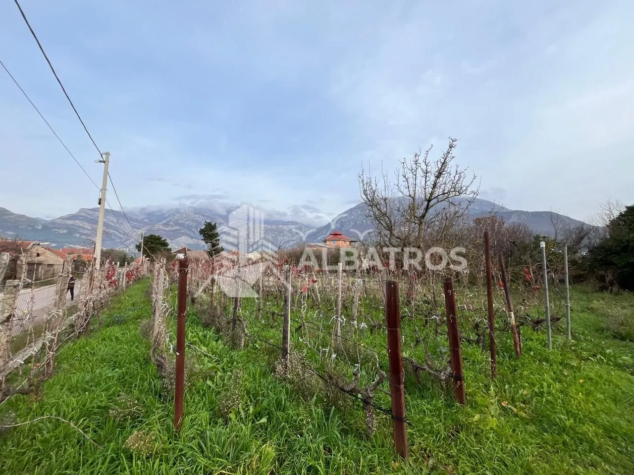 Prodaja, plac, 5209m², Tomba, Bar