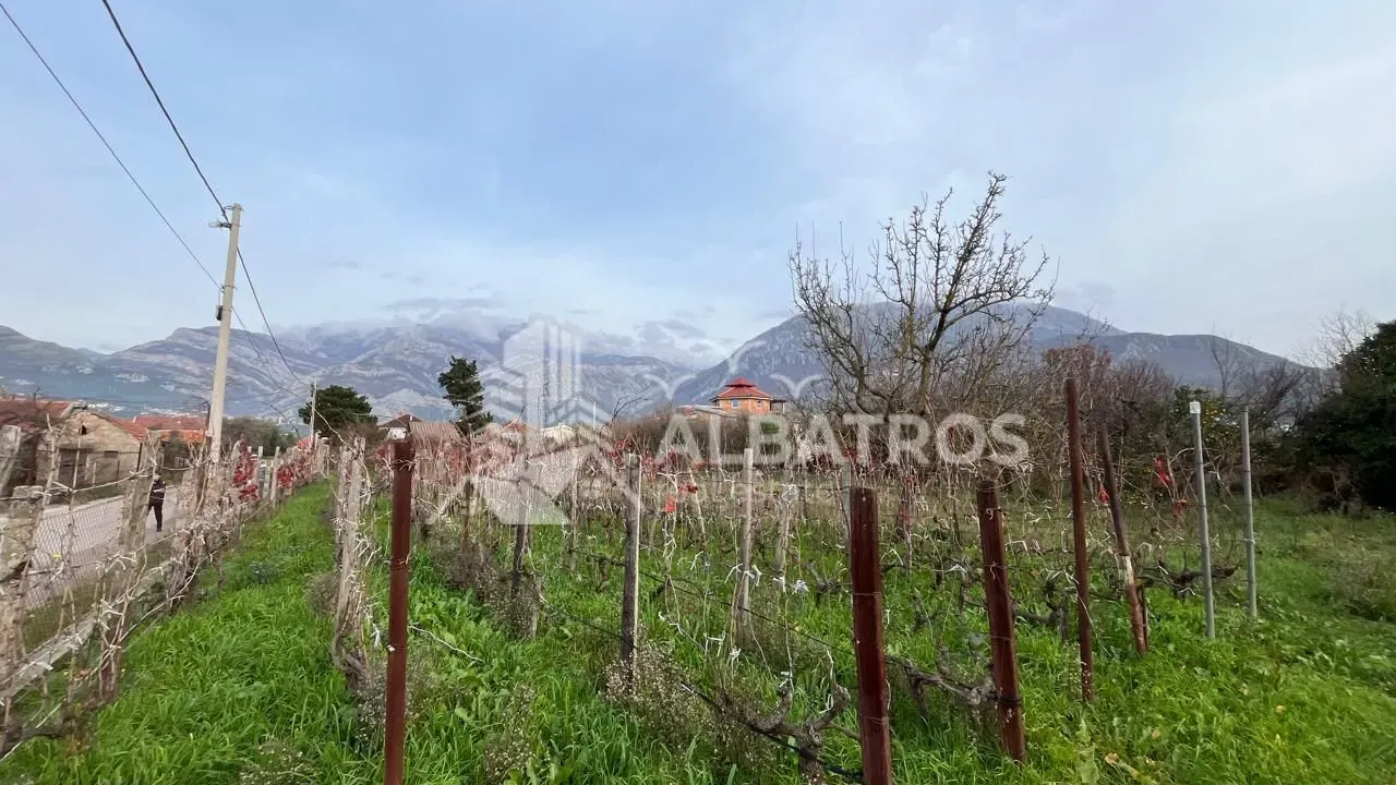 Prodaja, plac, 5209m², Tomba, Bar