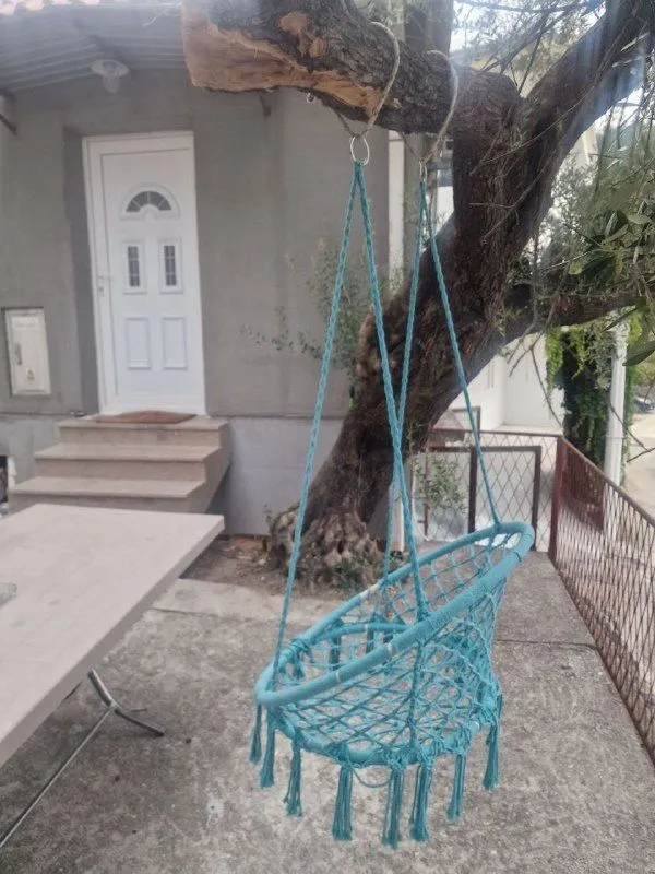 A hanging chair suspended from a tree in the yard in front of the house.
