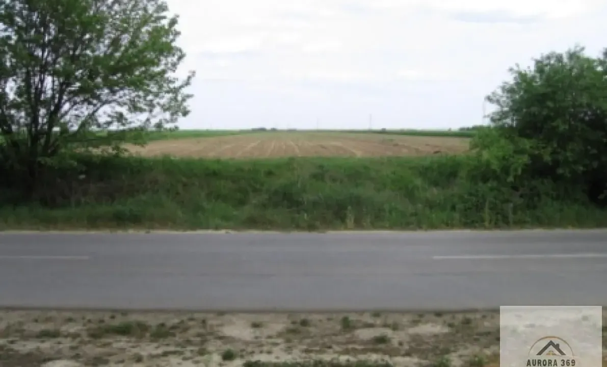 Prodaja, plac, 21700m², Futog, Novi Sad Sve Podlokacije