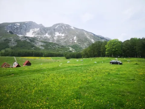 Sale, land lot, 1708m², Pošćenski Kraj, Žabljak - image 5