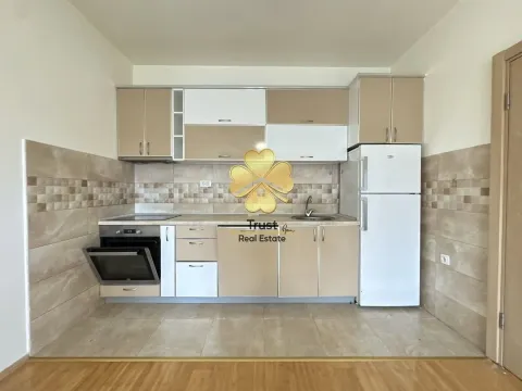 Rent, one bedroom apartment, 45m², Stari Aerodrom, Podgorica - image 4