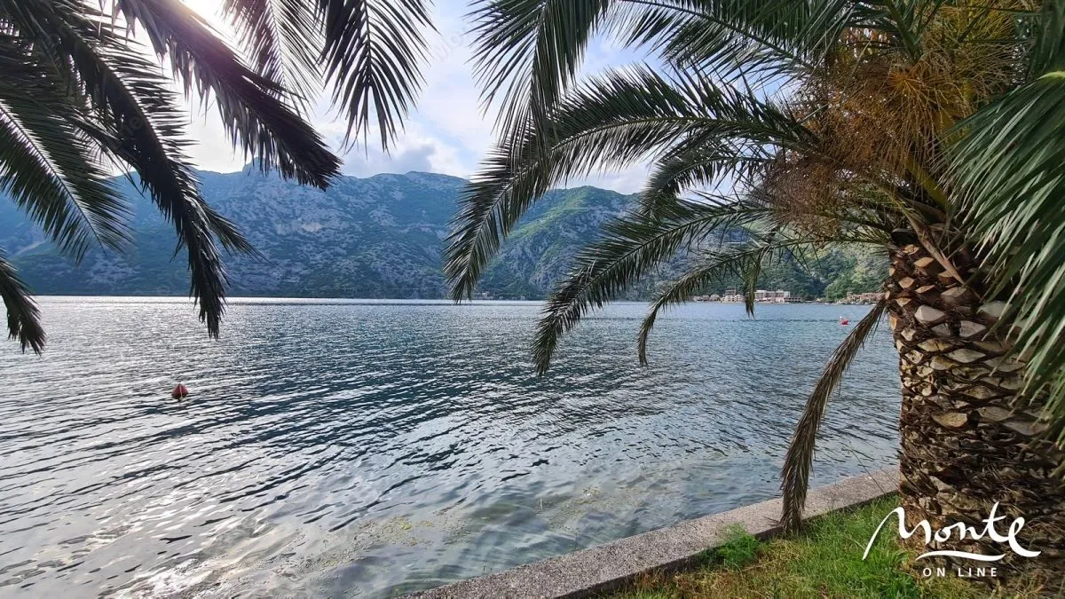 Prodaja, plac, 1800m², Risan, Kotor