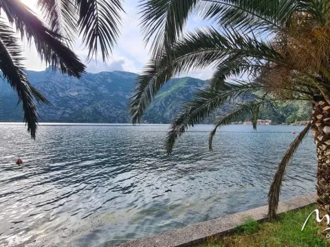 Prodaja, plac, 1800m², Risan, Kotor - image 4