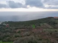 Sale, land lot, 487m², Krimovica, Kotor - image 3