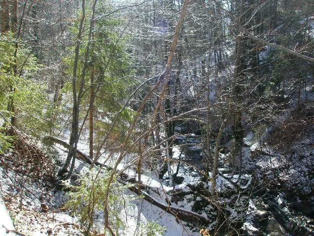 Prodaja, plac, 100000m², Kolašin, Crna Gora