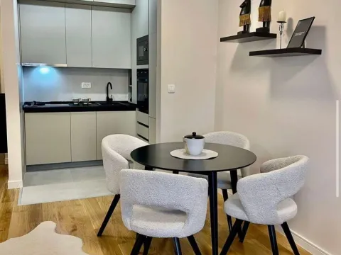 Izdavanje, jednosoban stan, 40m², Central Point, Podgorica - image 2