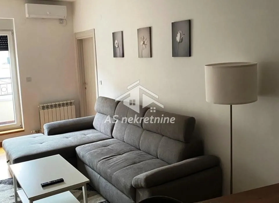 Izdavanje, stan, 49m², Tašmajdan, Palilula Sve Podlokacije