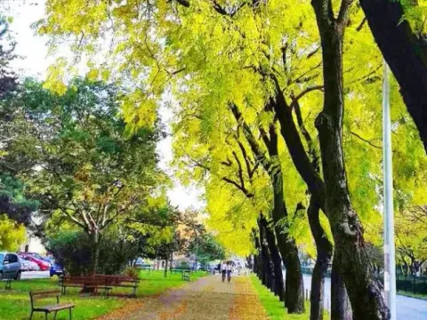 Izdavanje, jednosoban stan, 62m², Preko Morače, Podgorica - image 8