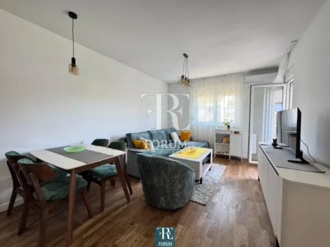 Rent, one bedroom apartment, 50m², Stari Aerodrom, Podgorica - image 4