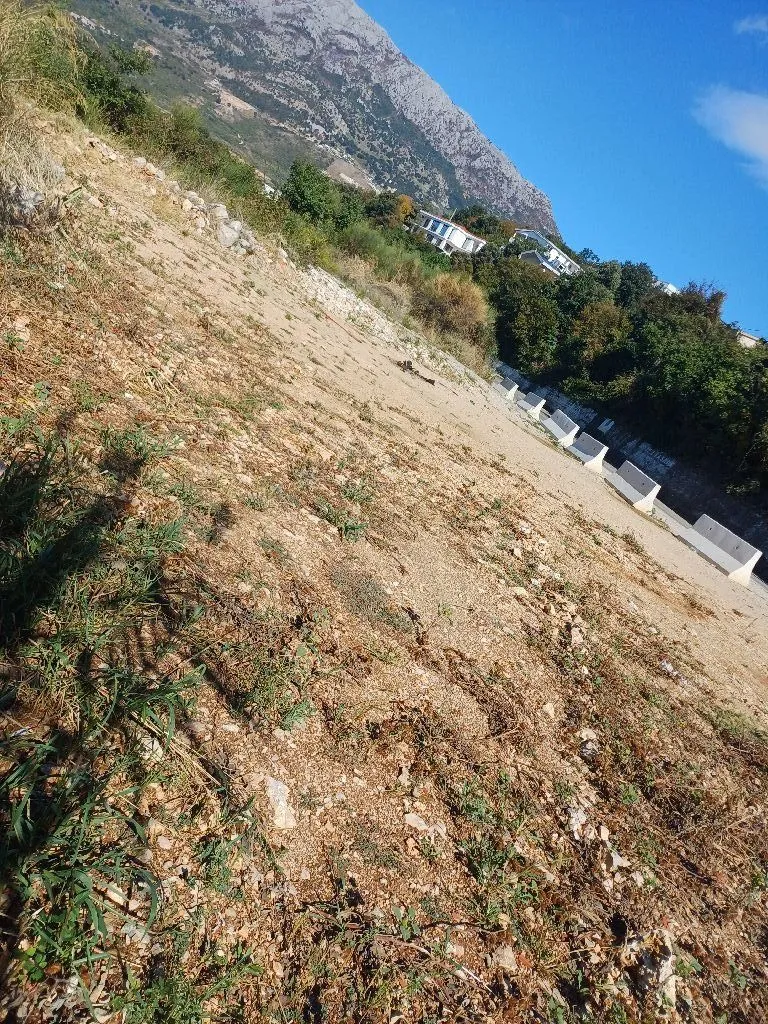 Pogled na plac sa zemljom i vegetacijom i brdom u pozadini.