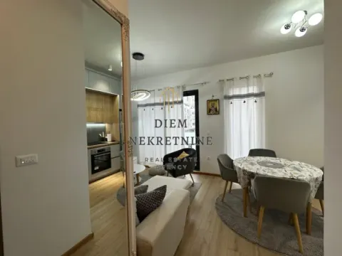 Izdavanje, jednosoban stan, 40m², Tološka šuma, Podgorica - image 2