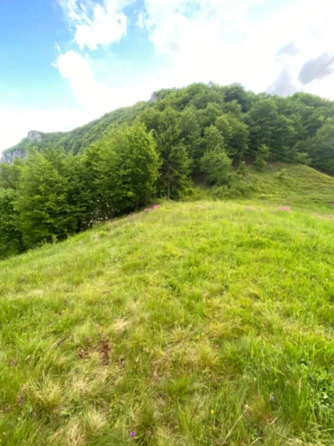 Prodaja, plac, 1350m², Moračko Trebaljevo, Kolašin