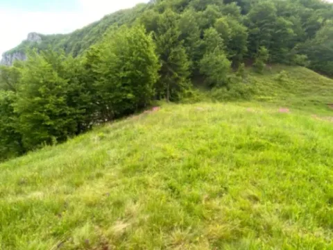Prodaja, plac, 1350m², Moračko Trebaljevo, Kolašin - image 4